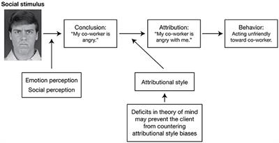 Frontiers | The Importance Of Social Cognition In Improving Functional ...